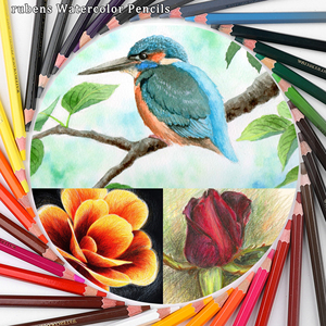 Crayons de couleur professionnels Rubens les plus vendus, solubles dans l'eau, en ensembles de 12, 24, 36, 48 couleurs, avec logo personnalisé, impression numérique, boîte cadeau - Product Image 6