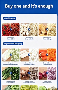 Picadora Eléctrica Comercial <span class=keywords><strong>de</strong></span> Alimentos <span class=keywords><strong>de</strong></span> Acero Inoxidable, Multifuncional, para Carne, Verduras, Cebolla y Ajo, Fácil <span class=keywords><strong>de</strong></span> Limpiar - Product Image 2