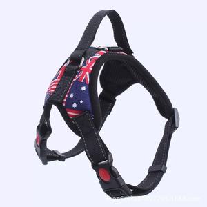 Correa Extensible para Perro, Estilo Hueso, Fabricada en Zhejiang, para Perros Medianos/Grandes, Golden Retriever, <span class=keywords><strong>Doberman</strong></span>, Venta al Por Mayor - Product Image 4