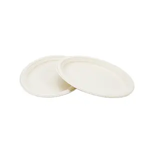 100% Compostable Eco-Friendly Disposable Dinner Plate Biodegradable Sugarcane Paper Plates