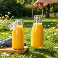 Hete Aanbieding: 500ml Cilindervormige Glazen Fles met Luchtdichte Clipdop voor Sap, Drank, Fruitwijn en Zelfgemaakte Fermentatie