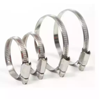Fabricant Direct Din 3017 Allemagne Type Colliers de serrage en acier inoxydable Traitement de surface poli