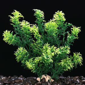 Suprimentos De Aquário Conjunto De Aquário Cenário Do Tanque De Peixes Plantas Falsas Plantas De Água Simuladas Plantas De Água Plásticas - Product Image 1