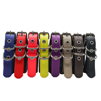 Collier pour chien en plastique robuste, vente directe usine, motif LOGO personnalisé, pour chiens de petite, moyenne et grande taille, pour la promenade et la chasse