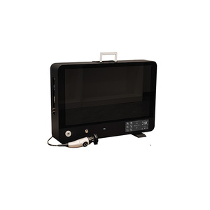 Cámara endoscópica portátil de 15 pulgadas para cirugía Fuente de energía eléctrica <span class=keywords><strong>integrada</strong></span> 1080P para Urología - Product Image 4