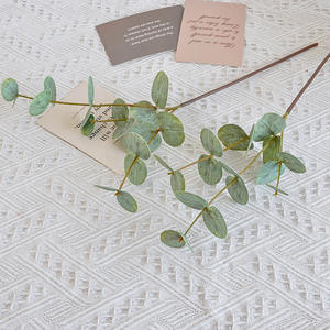 Follaje Artificial de <span class=keywords><strong>Eucalipto</strong></span> y <span class=keywords><strong>Hoja</strong></span> de Dinero Impreso en 3D para Decoración Fresca en Hoteles y Hogares - Product Image 2