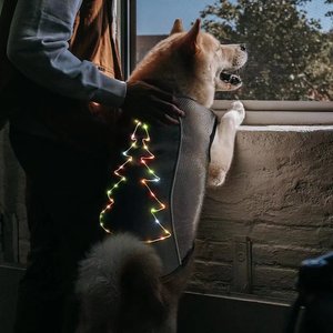Vendita calda luce su vestiti per cani albero di natale ricamato su imbracatura per cani per camminare di notte - Product Image 6