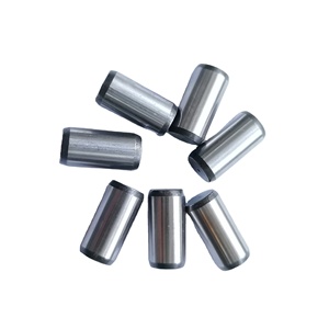 PIN véritable original de Offre Spéciale de pièces de rechange d'excavatrice de Santa <span class=keywords><strong>Elena</strong></span> W COMME 424-70-11910 - Product Image 1
