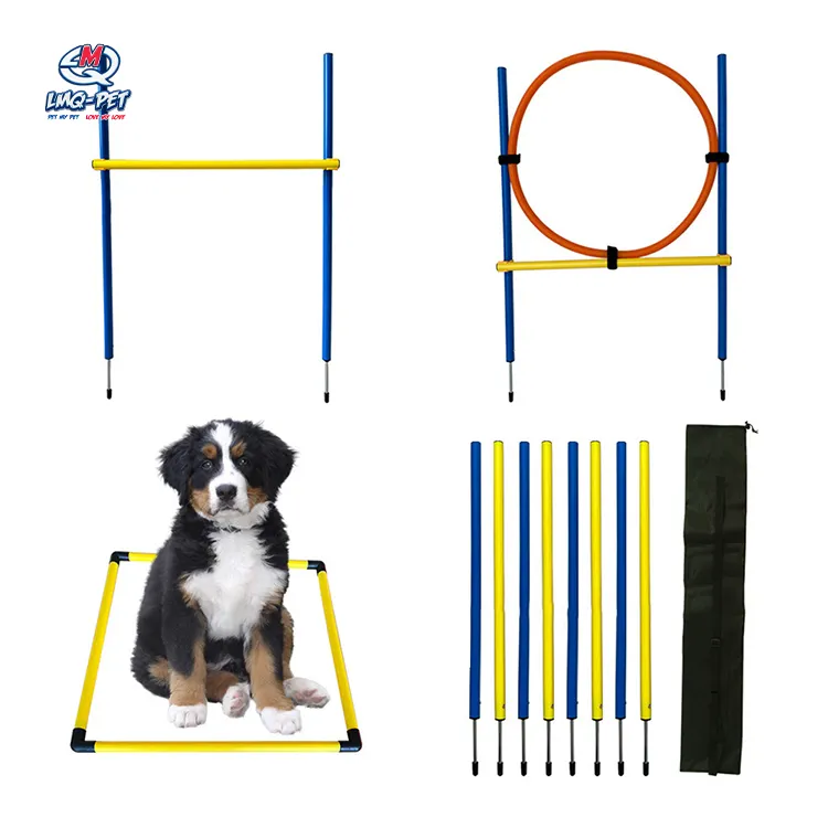 Set di prodotti per agilità per cani da compagnia Set di addestramento pali intrecciati salto Tunnel punto di attesa