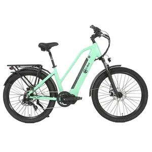 OEM Shimano Nexus 7速48v城市电动自行车13 Ah电动自行车