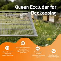 Silberner Hochleistungs-Absperrgitter aus verzinktem Eisen für Bienenstöcke, 8-Rahmen-Design, Imkerei-Werkzeug