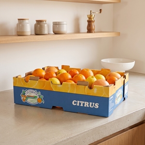 Solución de Empaque para Cajas de Frutas, para el Transporte de Frutas Frescas y Empaque Agrícola - Product Image 2