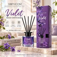 Diffuseur de parfum d'ambiance en gros, bouteille en verre, bâtonnets en fibre, fournisseur d'arômes, usine, logo personnalisé, approvisionnement en vrac