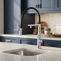 Robinet de cuisine extractible à double sortie avec tuyaux filtrés séparés, capteur d'eau chaude instantanée, usage commercial et domestique, OEM LUCKBOIL