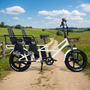 Vélos <span class=keywords><strong>cargo</strong></span> électriques longue portée 48V à double batterie 20 pouces avec sièges pour bébés, fabriqués en usine OEM - Product Image 4