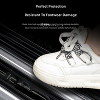 Marchepieds latéraux en acier inoxydable brossé électroplaqué, kit d'extension de bienvenue personnalisé pour Chery ICAR V23