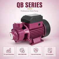 Pompe à eau électrique ZHELI 0.75hp 0.5hp 1hp pour l'irrigation agricole et domestique, en aluminium, 60HZ, BOMBA, demi-horse puissance (1/2 HP), pompe vortex QB Qb60