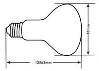 Lucky Herp Excellent Lampe solaire UVA UVB à haute intensité, auto-ballastée, lampe/lumière/ampoule UVA UVB pour reptiles et amphibiens