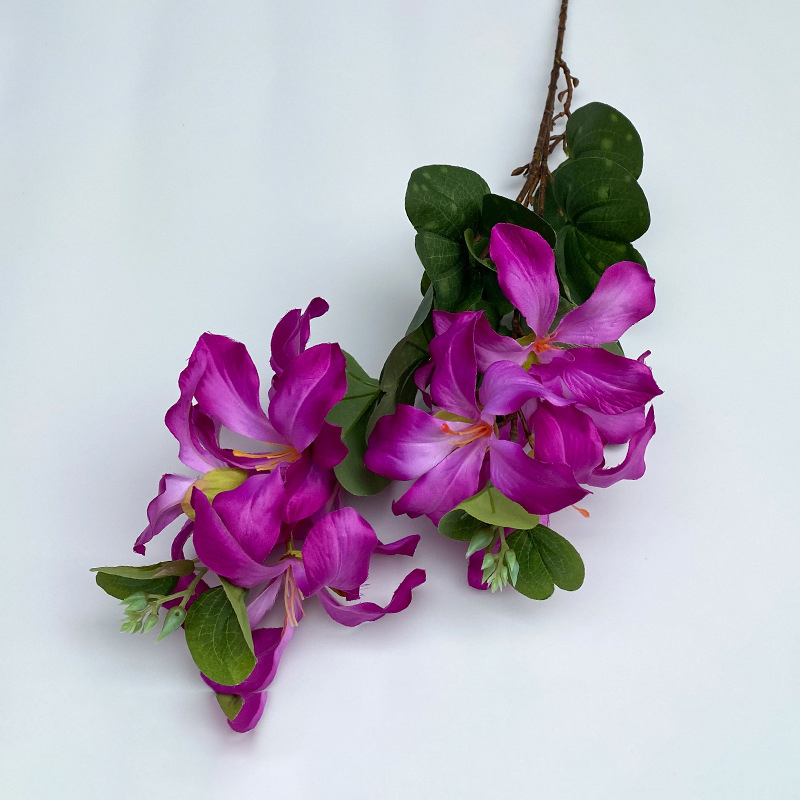 Jasmine flower jn-deep purple