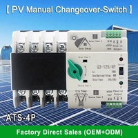 RUIPEIN Din Rail ATS 2P 63A 100A PC 6kA Kapasitas Pemutusan 6kA Satu Fasa Dual Power Automatic Transfer Switch PV Inverter CE IP40