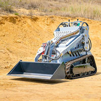 Minicargadora, Cargadora de Orugas, Cargadora de Tractor con Motor CE EPA de Alto Momento de Carga