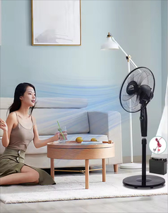 Factory Price OEM AC DC Big Electric Standing Metal Fan 12V DC 16 Inch Solar Fan - Product Image 4