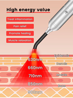 Tête de longueur d'onde de qualité médicale 5 avec stylo de thérapie par lumière rouge à fibres optiques blanches et infrarouges 1 torche cible Led 850nm Vision nocturne