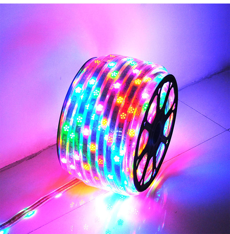 Gmxx040 6Color Led Strip 220V Smd2835 120Leds/M Flexible Tape Light Plum Dance Rgb Led Light Strip
