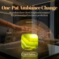 Lampe de table en marbre pour la décoration de la maison, lampe tactile rechargeable en pierre, lumière d'ambiance LED à 3 niveaux de luminosité, lampe de bureau vert jade
