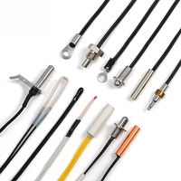 High Accuracy DS18B20 Digital Thermometer Probe, Rustproof Stainless Steel Housing for Outdoor & Industrial Monitoring