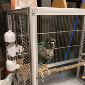 Jaula para pájaros de perfil de aluminio, jaula de vuelo duradera, jaula para loros de acero inoxidable 304 de lujo Extra grande, jaula para pájaros a la venta - Product Image 1