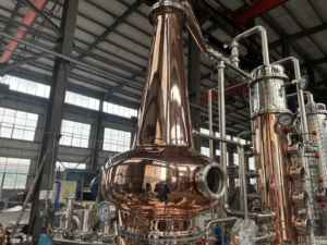 बहु-उद्देश्यीय ब्रांडी गिन व्हिस्की डिस्टिलर के लिए 500 एलडीसी कॉपर अल्कोहल डिस्टिलरी बीयर प्रसंस्करण - Product Image 2