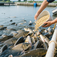 Probiotiques EM pour l'alimentation des poissons, additifs alimentaires pour animaux, probiotiques pour stabiliser la qualité de l'eau, suppléments nutritionnels