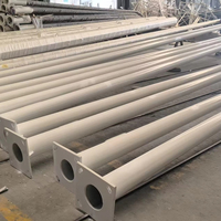 Poste de lámpara exterior de acero galvanizado, poste de luz de calle Solar Led, diseño libre del fabricante, 3m, 5m, 6m, 8m, 10m, 12m