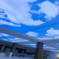 Film décoratif transparent ignifuge de qualité A en aluminium souple sur mesure pour plafonds, bureaux, voitures, magasins, showrooms et caissons lumineux