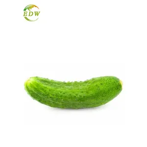 Fabrieksleverancier Bulkprijs Met Hoge Kwaliteit Komkommer Extract Komkommersap Poeder Oem Verpakking