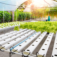Système de culture hydroponique vertical NFT Seedafarm à haut rendement, haute rigidité, facile à utiliser pour les serres domestiques et les fermes