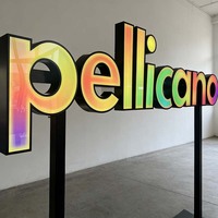 Enseigne commerciale autoportante à effet dynamique personnalisée par le fabricant, lettres LED RGB, éclairage publicitaire extérieur