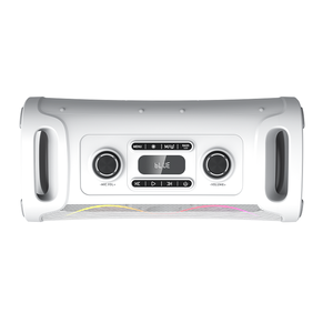 ลำโพงพื้น BT พลังสูงสำหรับห้องนั่งเล่นทีวีคาราโอเกะปาร์ตี้ลำโพง partybox - Product Image 6