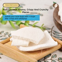 Chispas de Coco Liofilizadas, Trozos Grandes y Gruesos, Pulpa de Coco Tailandesa, Fruta de Coco Tailandesa, Materia Prima para Snacks Fritos, Fábrica de Yunnan