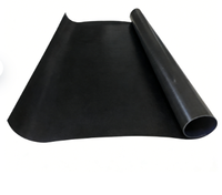 PENNROOF PENNROLL EH Membrane Étanche Écologique en Caoutchouc EPDM Noir Résistant à l'Usure et aux Intempéries