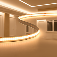 Bande LED COB VH LIGHTING Garantie 3 ans 320LED 480LED DC12V 6000K Blanc lumière du jour IP20 PVC flexible CE ROHS