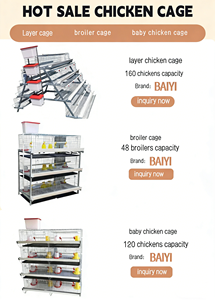 Jaula de cría de <span class=keywords><strong>pollitos</strong></span> recién <span class=keywords><strong>nacidos</strong></span> 1000 condición de jaula de pollo para bebés nuevo - Product Image 4