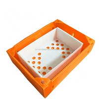 Boîte plastique ondulé de poissons, pour poissons, fruits de mer, caisse de produits aquatiques, homard/crevettes expédition, Coroplast boîte d'emballage