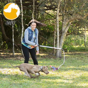 Dog flirt Pole Toy tug Tease Wand Non-Bungee Cord Dog Toy for Fun Obedience Training Toy - Product Image 3