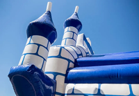 Château gonflable géant commercial personnalisable en PVC, à prix d'usine, avec thèmes animaux et sportifs