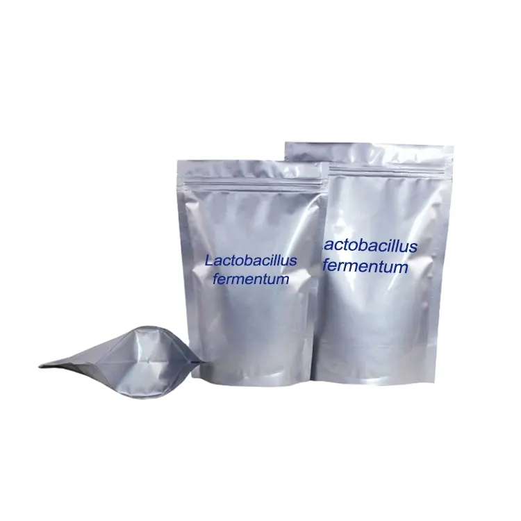 Lactobacillus fermentum HH-LF39 100 billion cfu/g probiotics bulk powder food preservation supplement lactic acid bacteria