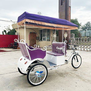 OEM Customized Electric <b>Pedicab</b> Rickshaw Three Wheels Cargo Trike Adult Passenger Tricycle - Product Image 4