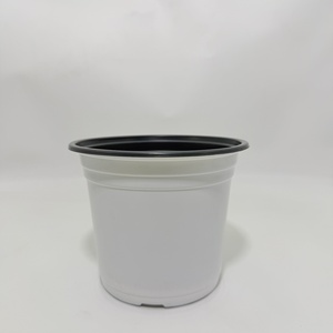 Vaso per Piantine in Materiale PP Modello 140, Robusto e Durevole Vaso Bicolore Adatto per Piantine e Semenzali - Product Image 5
