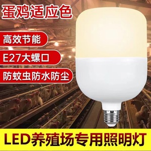 LED Poultry <b>Light</b> E27 Screw Type Warm Yellow <b>Light</b> For Chicken Coop Layer Farm Lighting - Product Image 2
